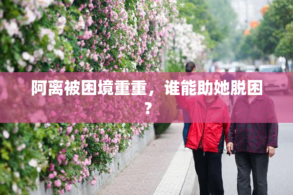 阿离被困境重重，谁能助她脱困？