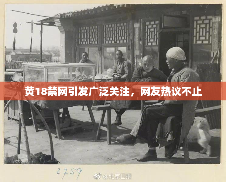 黄18禁网引发广泛关注，网友热议不止