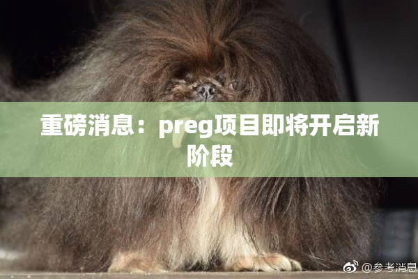 重磅消息：preg项目即将开启新阶段