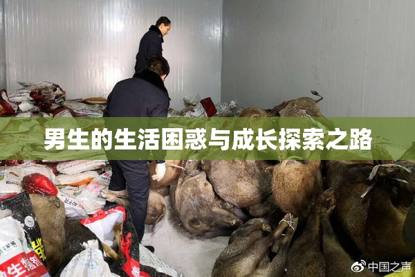 男生的生活困惑与成长探索之路