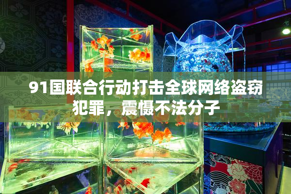 91国联合行动打击全球网络盗窃犯罪，震慑不法分子