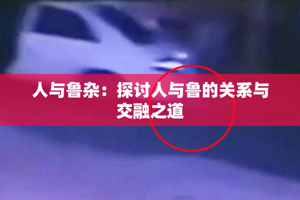 人与鲁杂：探讨人与鲁的关系与交融之道