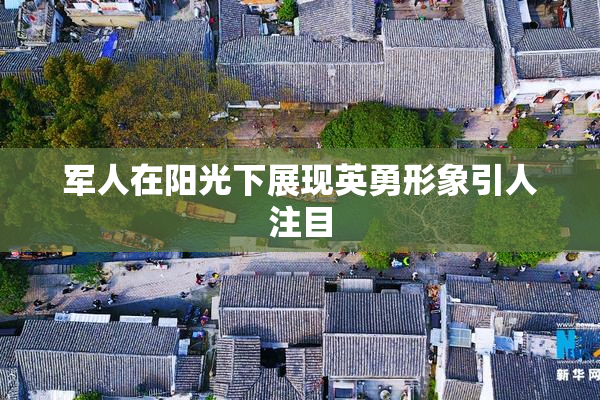 军人在阳光下展现英勇形象引人注目