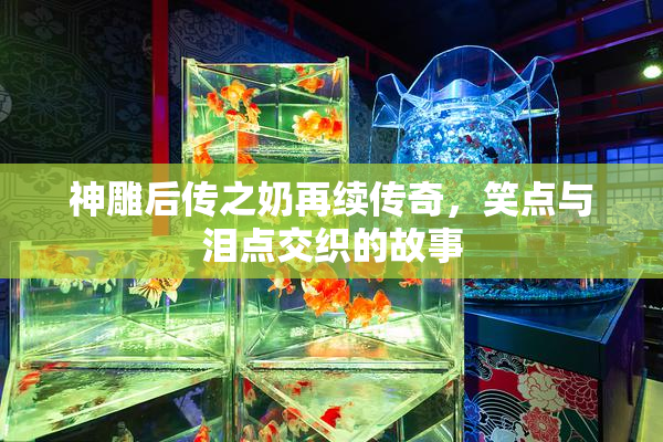 神雕后传之奶再续传奇，笑点与泪点交织的故事