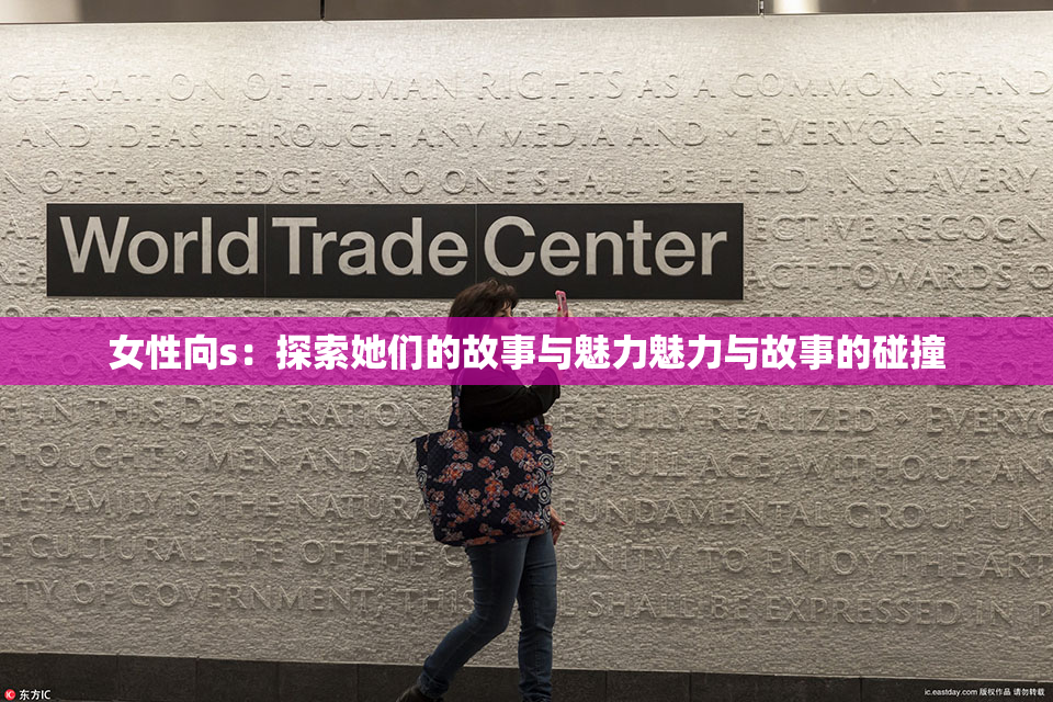 女性向s：探索她们的故事与魅力魅力与故事的碰撞