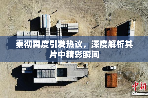 秦彻再度引发热议，深度解析其片中精彩瞬间