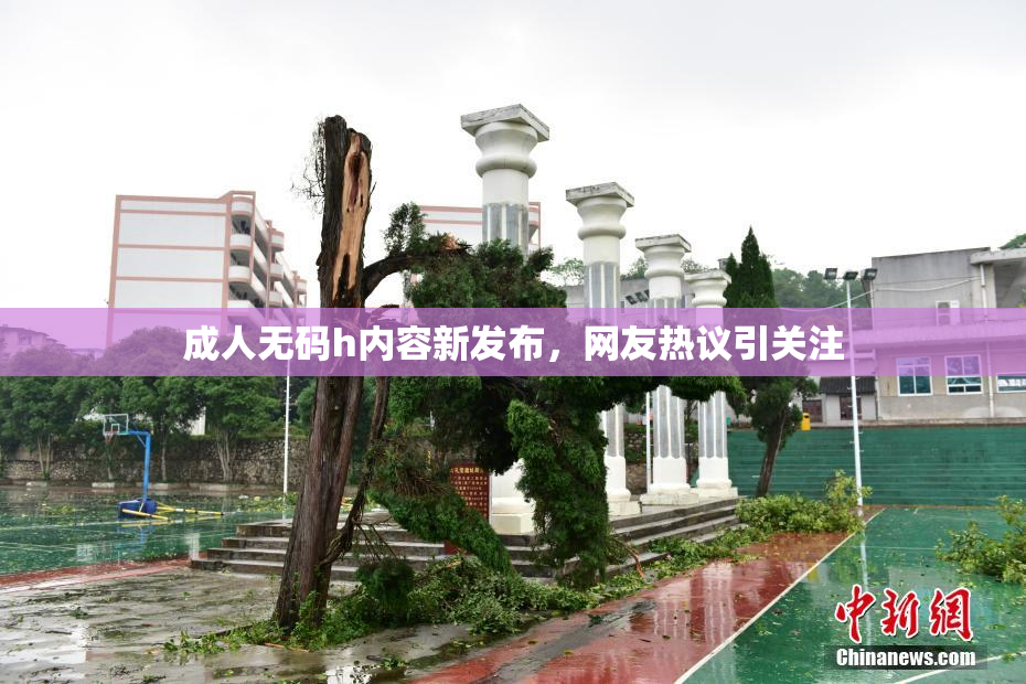 成人无码h内容新发布，网友热议引关注
