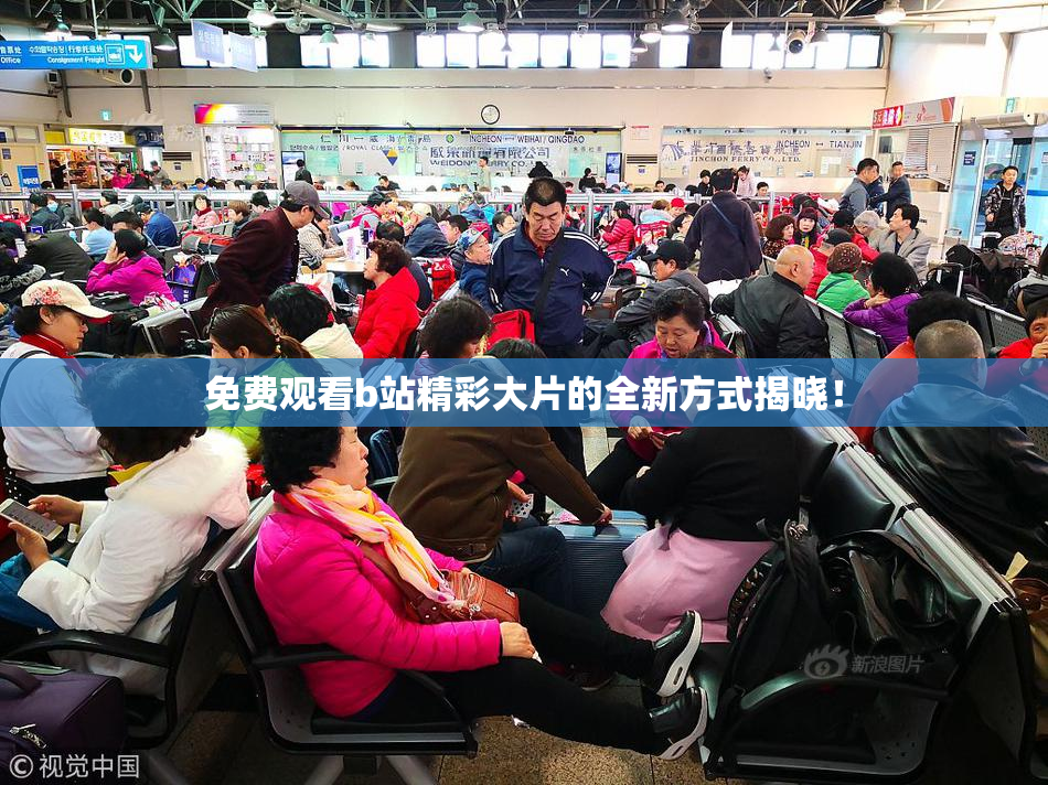 免费观看b站精彩大片的全新方式揭晓！