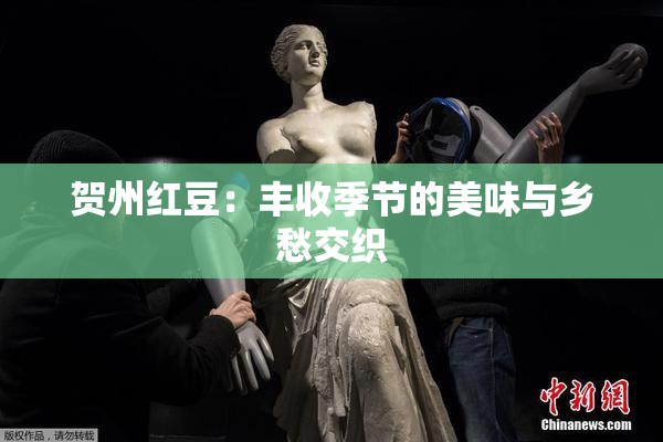 贺州红豆：丰收季节的美味与乡愁交织
