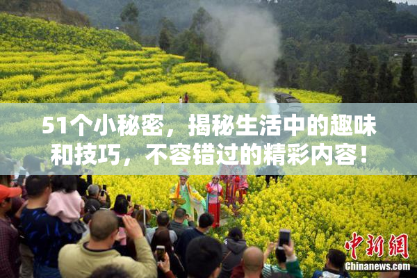51个小秘密，揭秘生活中的趣味和技巧，不容错过的精彩内容！