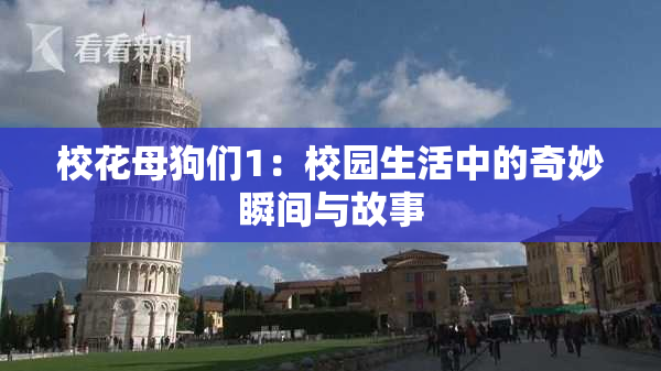 校花母狗们1：校园生活中的奇妙瞬间与故事