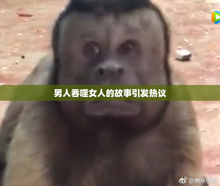 男人吞噬女人的故事引发热议