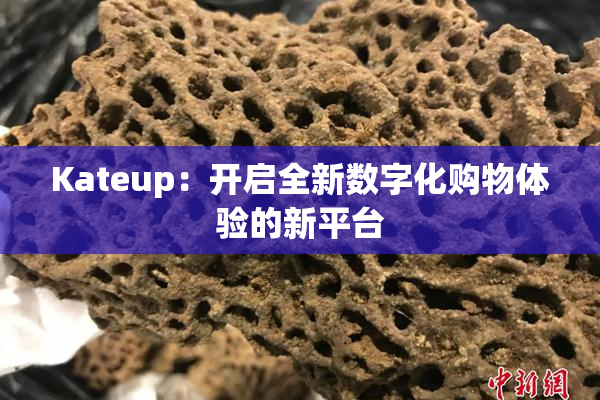 Kateup：开启全新数字化购物体验的新平台