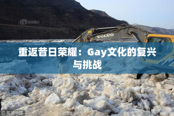 重返昔日荣耀：Gay文化的复兴与挑战