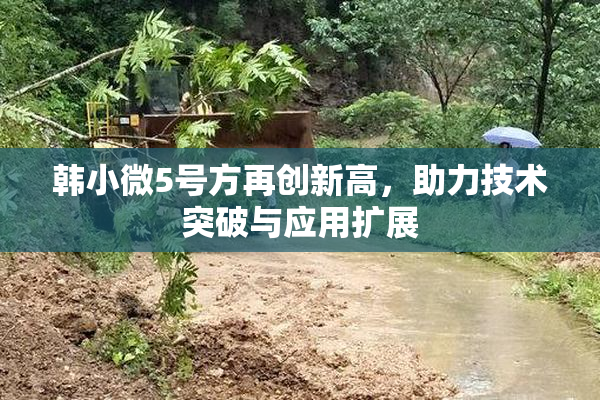 韩小微5号方再创新高，助力技术突破与应用扩展