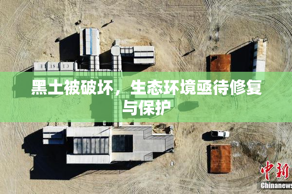 黑土被破坏，生态环境亟待修复与保护