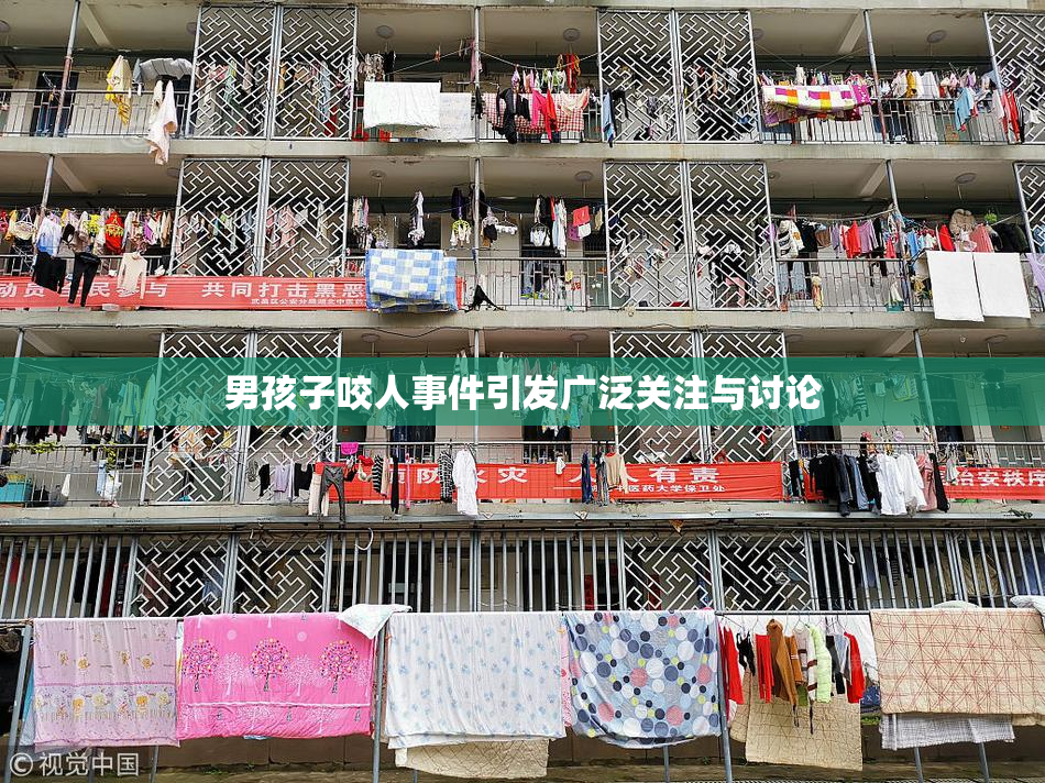 男孩子咬人事件引发广泛关注与讨论