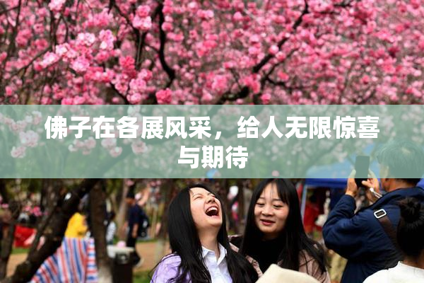 佛子在各展风采，给人无限惊喜与期待
