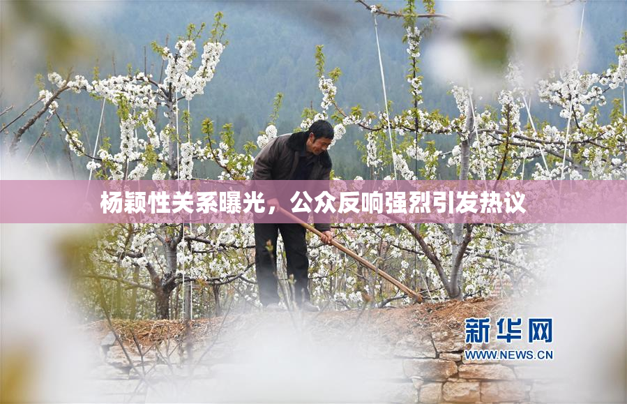 杨颖性关系曝光，公众反响强烈引发热议