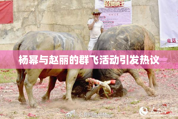 杨幂与赵丽的群飞活动引发热议