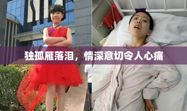 独孤雁落泪，情深意切令人心痛