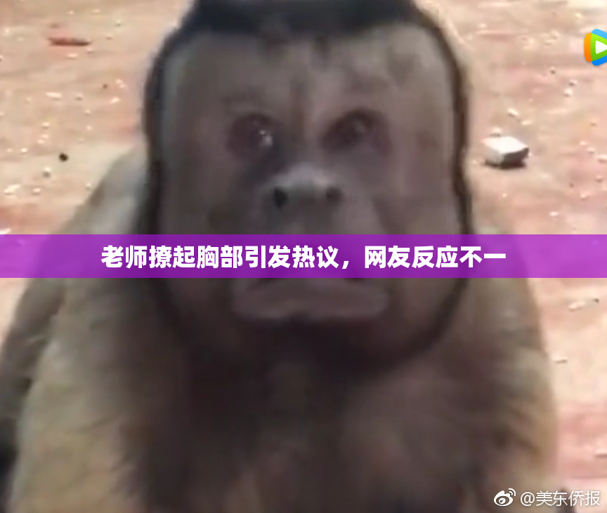 老师撩起胸部引发热议，网友反应不一