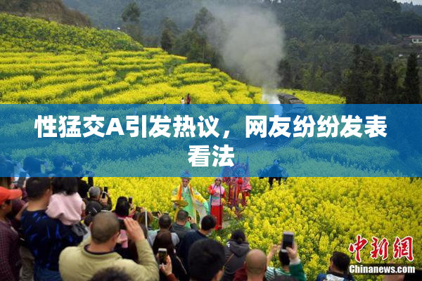 性猛交A引发热议，网友纷纷发表看法