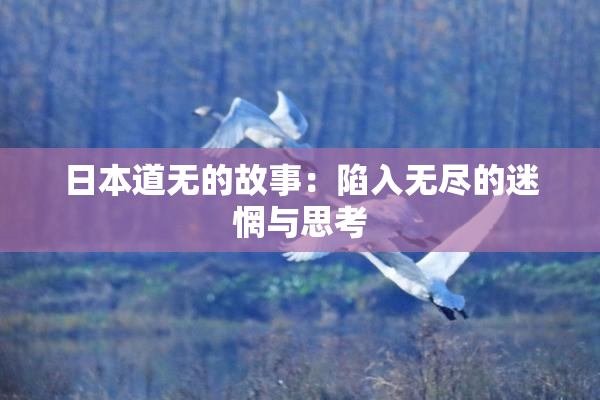 日本道无的故事：陷入无尽的迷惘与思考