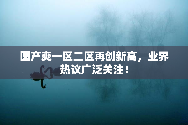 国产爽一区二区再创新高，业界热议广泛关注！