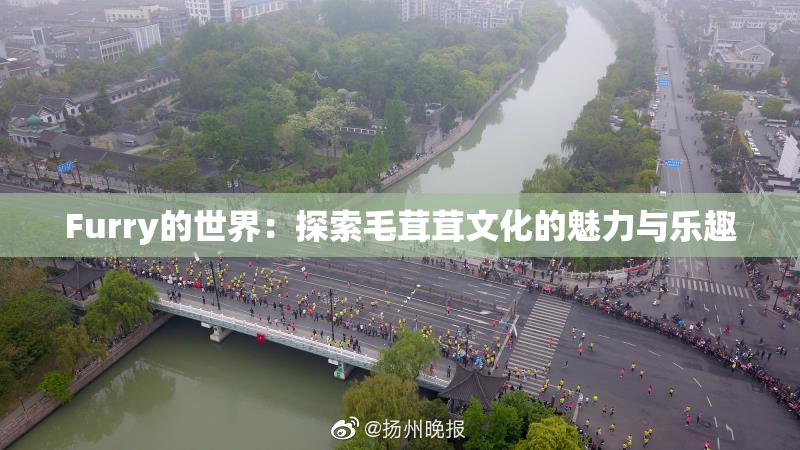 Furry的世界：探索毛茸茸文化的魅力与乐趣