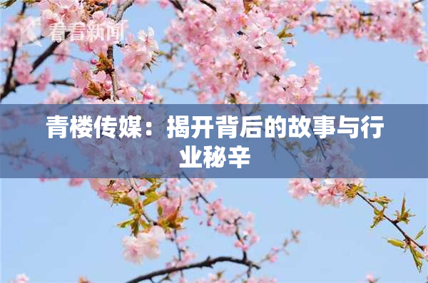 青楼传媒：揭开背后的故事与行业秘辛