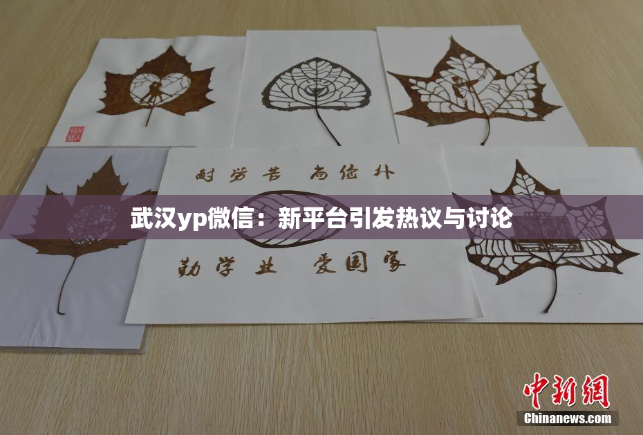 武汉yp微信：新平台引发热议与讨论