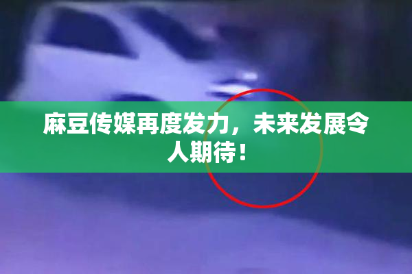 麻豆传媒再度发力，未来发展令人期待！
