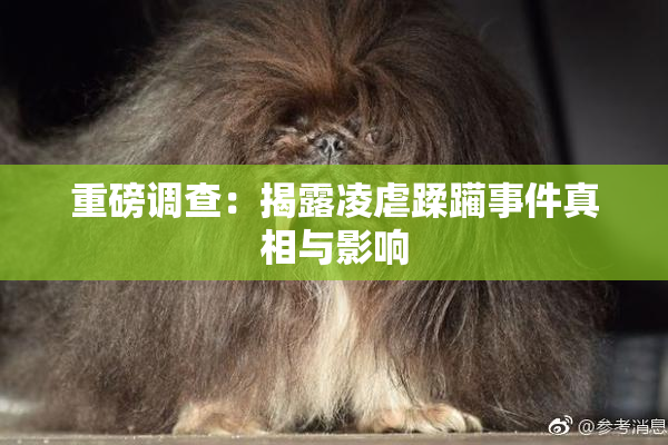 重磅调查：揭露凌虐蹂躏事件真相与影响