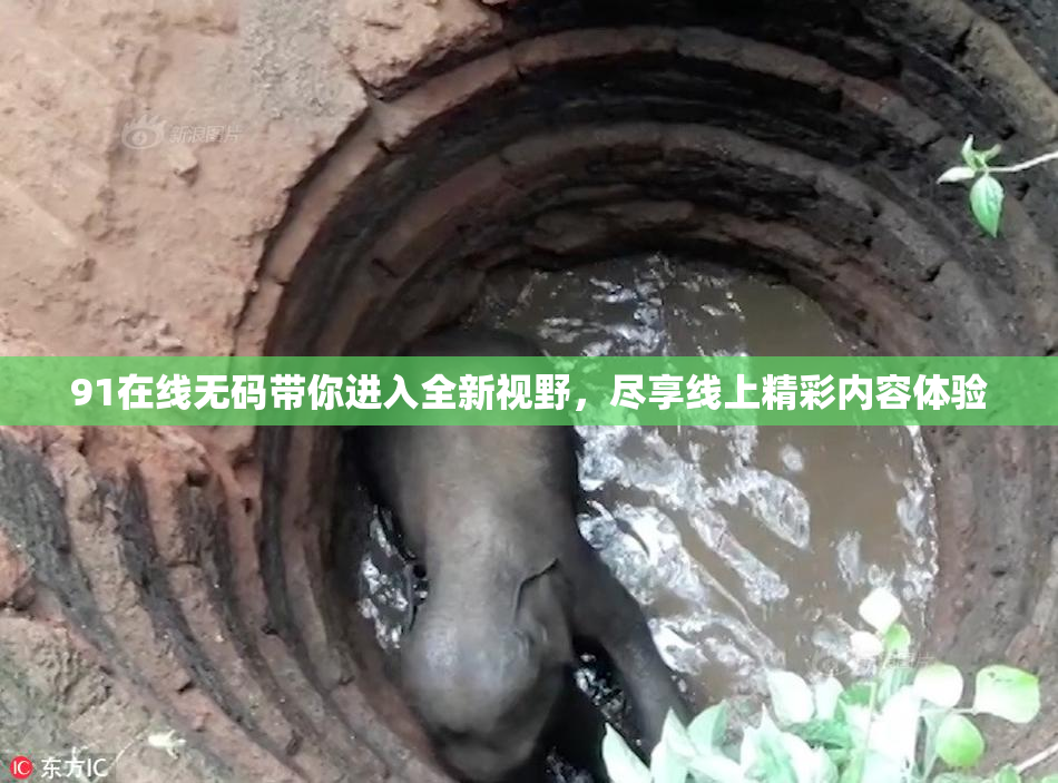 91在线无码带你进入全新视野，尽享线上精彩内容体验