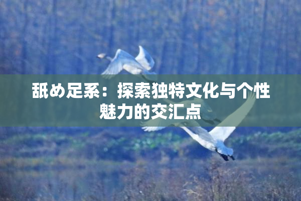 舐め足系：探索独特文化与个性魅力的交汇点