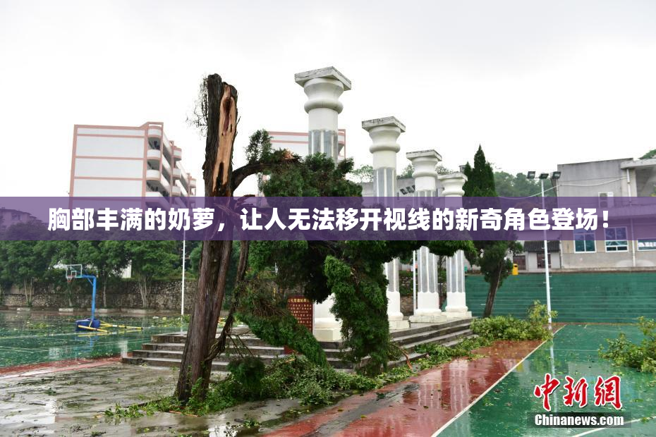 胸部丰满的奶萝，让人无法移开视线的新奇角色登场！