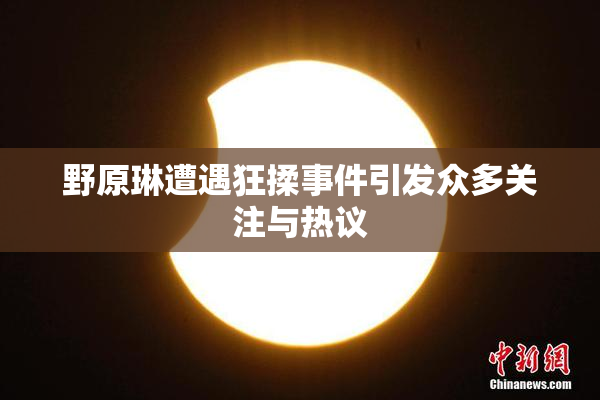 野原琳遭遇狂揉事件引发众多关注与热议