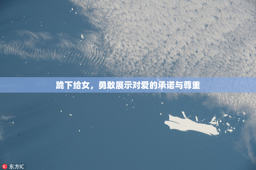 跪下给女，勇敢展示对爱的承诺与尊重