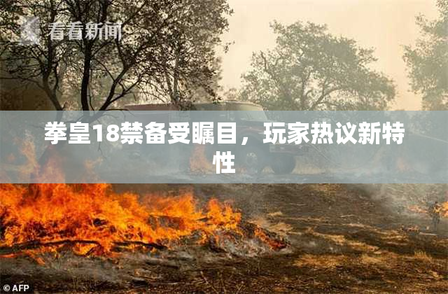 拳皇18禁备受瞩目，玩家热议新特性