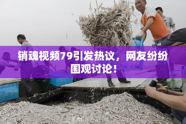 销魂视频79引发热议，网友纷纷围观讨论！