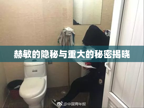 赫敏的隐秘与重大的秘密揭晓