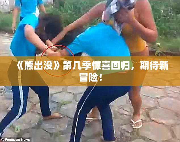 《熊出没》第几季惊喜回归，期待新冒险！