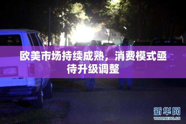 欧美市场持续成熟，消费模式亟待升级调整