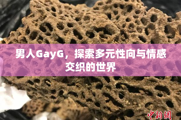 男人GayG，探索多元性向与情感交织的世界