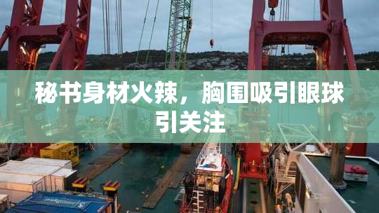 秘书身材火辣，胸围吸引眼球引关注