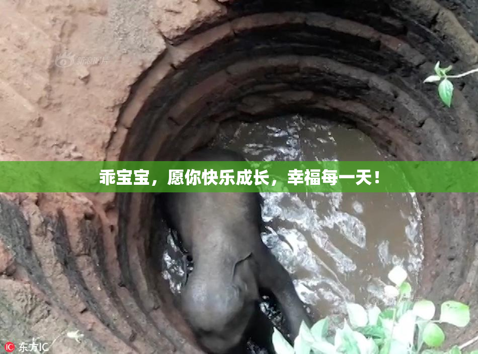乖宝宝，愿你快乐成长，幸福每一天！