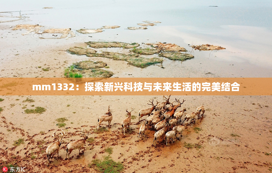 mm1332：探索新兴科技与未来生活的完美结合