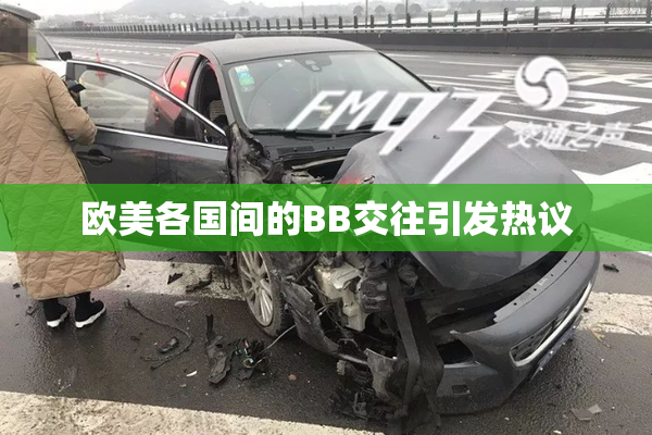 欧美各国间的BB交往引发热议