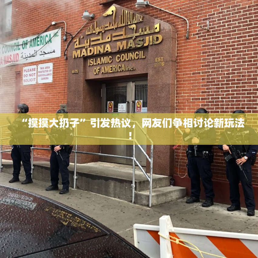 “摸摸大扔子”引发热议，网友们争相讨论新玩法！